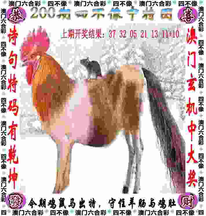>7777788888新跑马